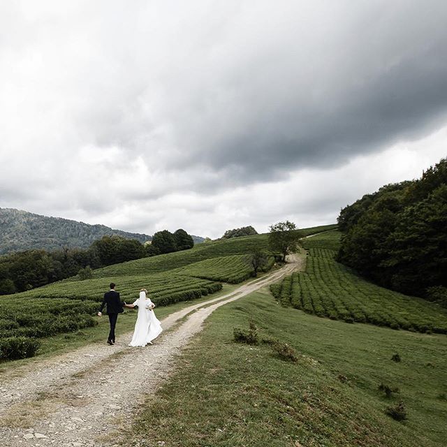 Свадьба Сочи